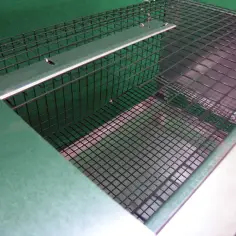 Wachtelstall für Wachteln 2