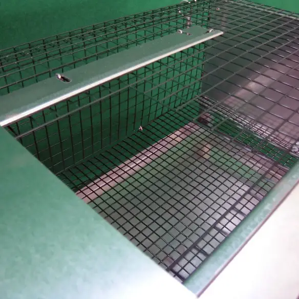 Tür des Wachtelstalls