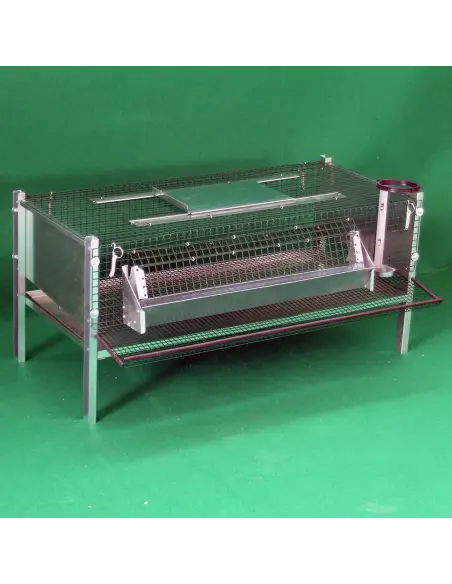 Wachtelstall für Legewachteln