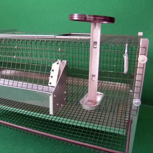 Tränke im Wachtelstall