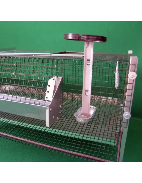 Tränke im Wachtelstall