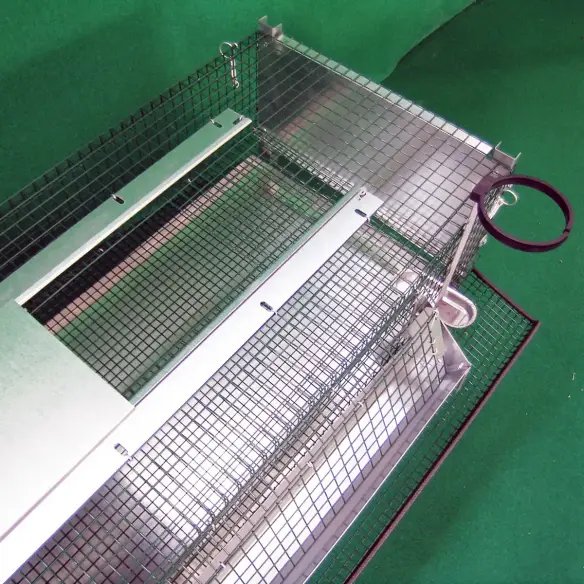 Tür des Wachtelstalls