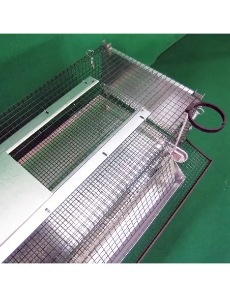 Tür des Wachtelstalls