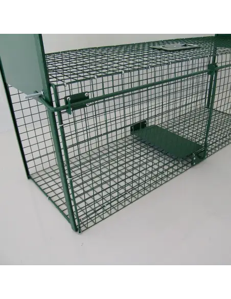 Detailansicht der Lebendfalle