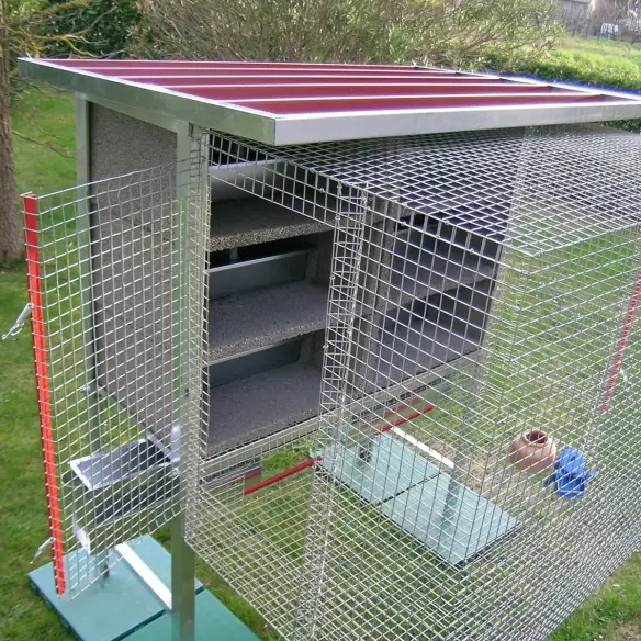 Innenraum des Taubenschlags für 6 Paare