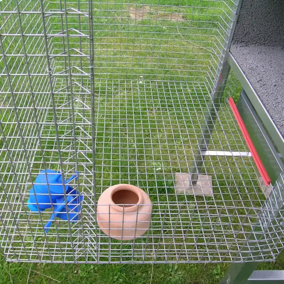 Innenraum des Taubenschlags für 3 Taubenpaare