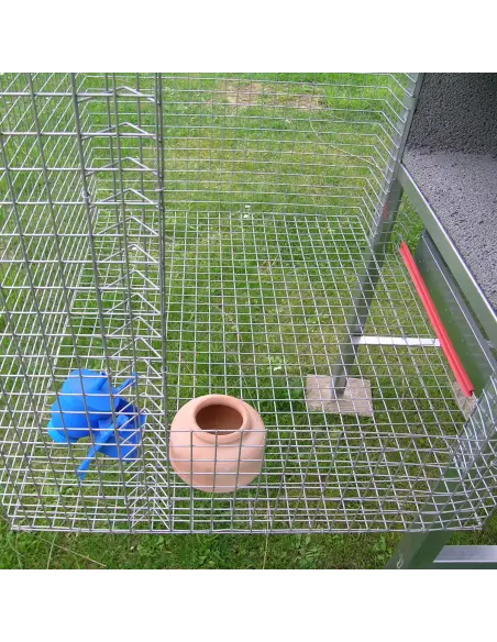 Innenraum des Taubenschlags für 3 Taubenpaare