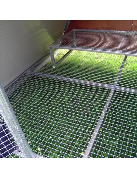 Erhöhter Boden mit Sitzstange im winterfesten Hühnerstall