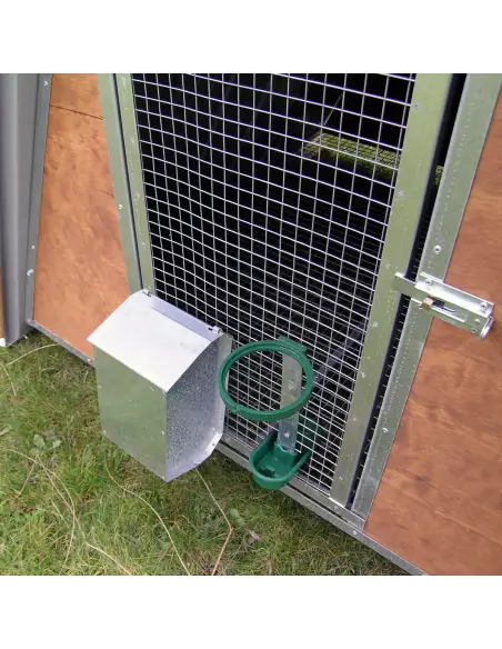 Futter- und Trinksystem im kleinen Hühnerstall