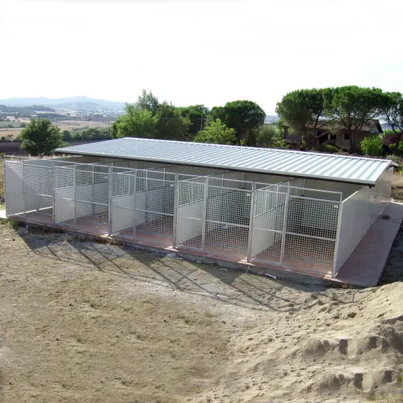 Serie von Hundezwingern Modell Modular