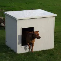 Isolierte Hundehütte für kleine Hunde – Sandwichpaneele – Made in Italy
