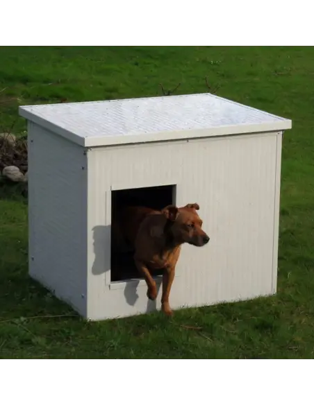 Isolierte Hundehütte für kleine Hunde – Sandwichpaneele – Made in Italy