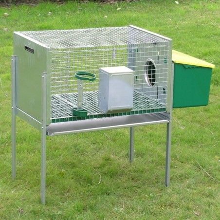 Kaninchenstall für ein Kaninchen, Hasenstall für männliche | Ferranti