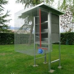 Taubenschlag für 3 Paare