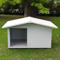 Hundehütte Isolierte mit Veranda