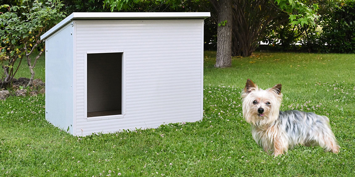 Wakects 10er Set Einweg-Befruchtungskatheter Für Tiere - Für Hunde & Schafe