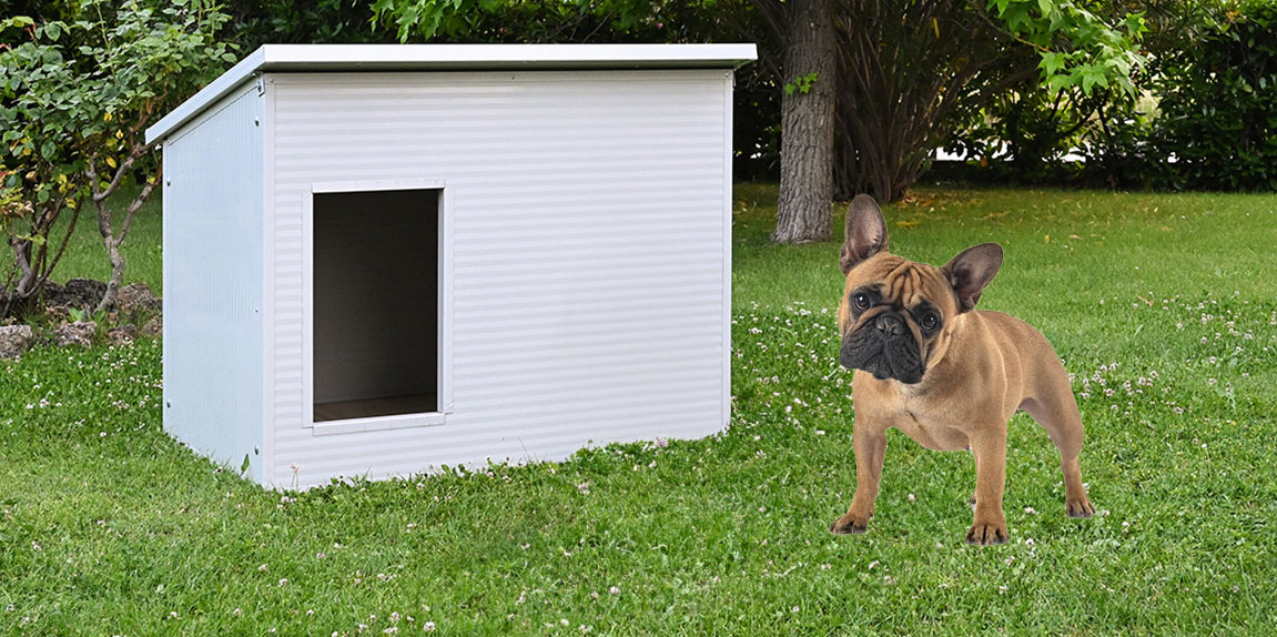 Hundehtte fr franzsische Bulldoggen: Modell | Ferranti