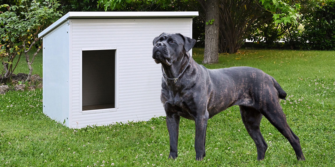 Hundehütte für korsischer Hunde - Ferranti Blog DE