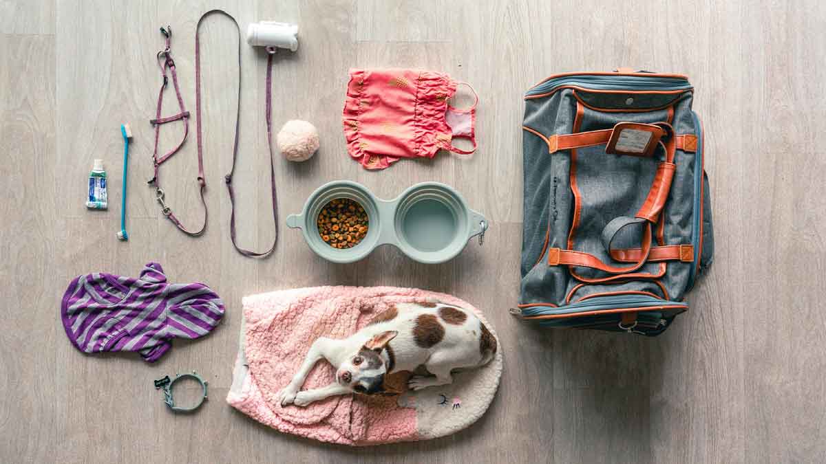 Welches Tierzubehör ist wirklich sinnvoll?