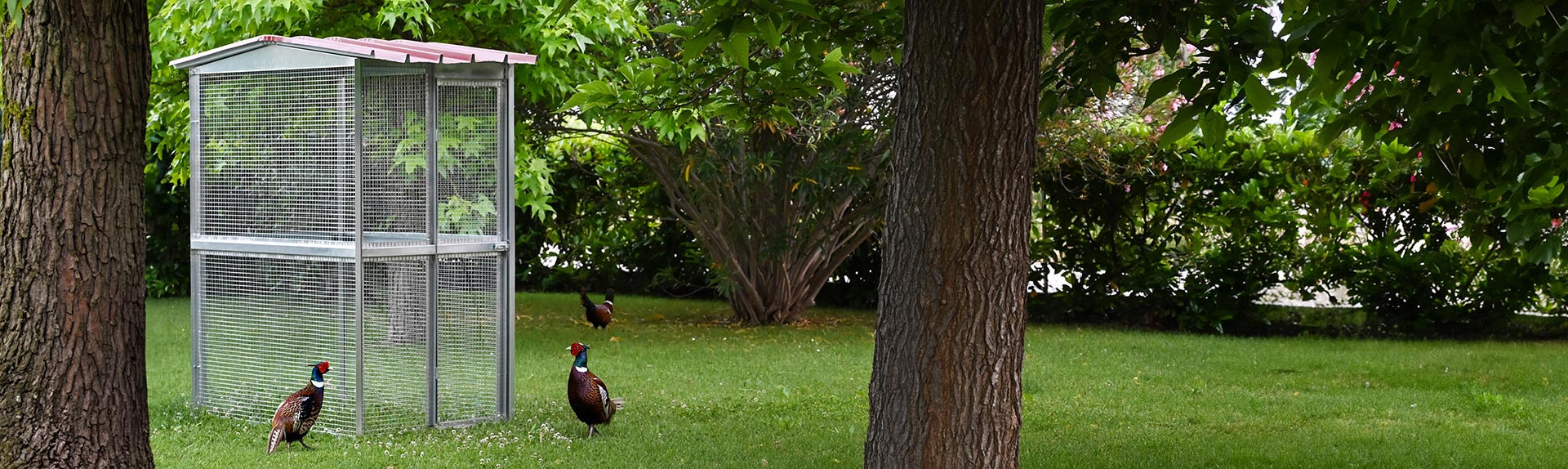 Modular Voliere für diverse Vogelarten